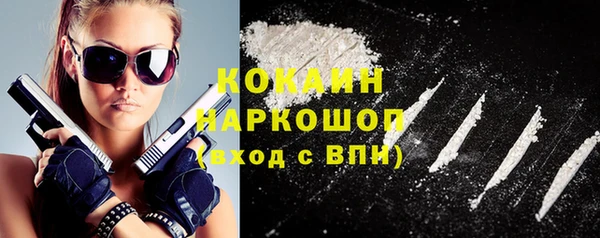 гидра Семилуки